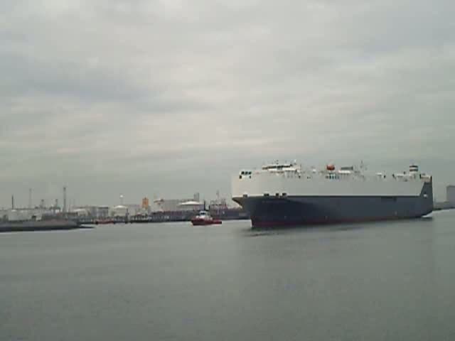 Hoegh Treasure,200m lang 32m breit. auf dem weeg zum Europahafen:Europoort Rotterdam. 2.1.2009