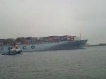 Cosco Yantian,351 m lang,43 m breit,25kn ,auslaufend Europoort Rotterdam.16.11.2008  ...