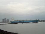 Maersk Jambi 224m lang 31m breit,einlaufend Nieuwe Waterweg nach Rotterdam <containerhafen.