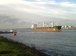 Mandarin,180m lang,24m breit,einlaufend Nieuwe waterweg nach Rotterdam Haven.15.11 2008  ...