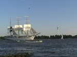 unter Segeln/289/das-polnische-segelschulschiff-dar-mlodziezygeschenk-der Das polnische Segelschulschiff Dar Mlodziezy(Geschenk der Jugend)passiert bei der Auslaufparade des 822 Hamburger Hafengeburtstag am 08.05.11 das Willkommen H�ft in Schulau Wedel.