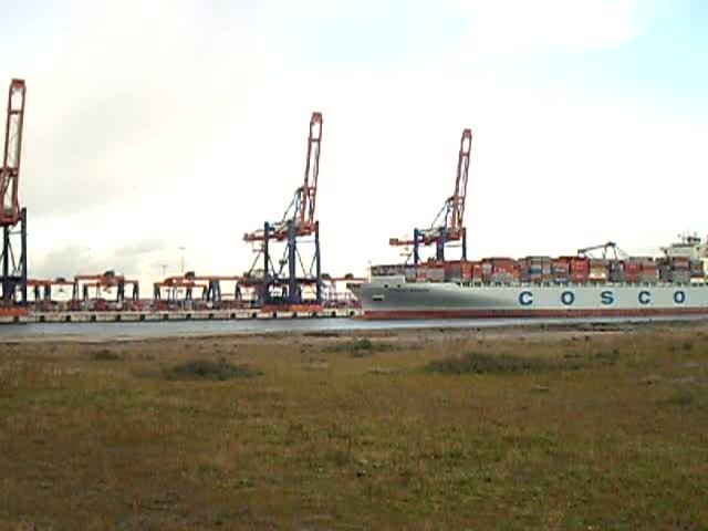 Cosco Europe,349m lang 46m breit, legt am neuen Euromax Terminal, Europoort-Rotterdam an.3.10.2008