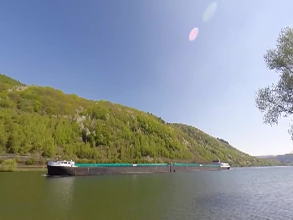 Deutschland, Rheinland-Pfalz, Amesha auf dem Weg von Bullay nach Neef auf der Mosel. Dies ist einer von drei 172m-langen Koppelverbänden mit dem GERJAN und dem ASTRAKHAN. Er besteht aus einem Motorschiff (95,50m x 11,45m), welches über 2 CUMMINS-Motoren mit 1600PS, 2 Bugstrahlruder mit 600 PS, und eine Gesamtladekapazität von 2516t verfügt, sowie einem Leichter (76,50 x 11,45m) mit 600PS und einer Gesamtladekapazität von 2233t. Gefilmt am Mosel Radweg am linken Moselufer zwischen Alf und St. Aldegund am 23.04.2015