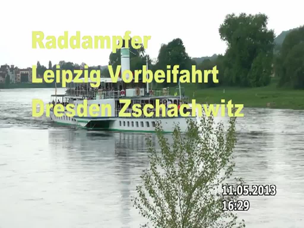 Die Leipzig, ein nun lgefeuerter Raddampfer, 1929 in Dresden Laubegast gebaut, gehrt zu den etwas greren Raddampfern der Flotte auf der Elbe.
Am 11.05.2013 Hhe Dresden Zschachwitz.