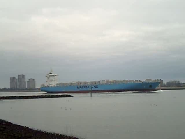 Maersk Jambi 224m lang 31m breit,einlaufend Nieuwe Waterweg nach Rotterdam <containerhafen.