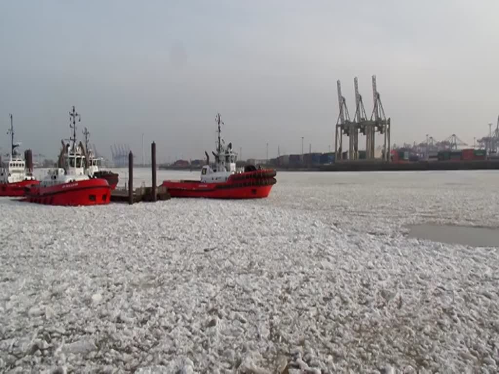 SD DOLPHIN (IMO 9631034) am 6.3.2018. Hamburg, im Treibeis auf der Elbe, Ablegemanöver vom Schlepperponton Neumühlen /

sehr deutlich ist die flußaufwärts fließende Elbe zu sehen, verursacht durch den Flutstrom /

Schlepper, Typ: Damen ASD 3212 / BRZ 453 / Lüa 32,7 m, B 12,82 m, Tg 5,35 m / 2 Diesel, ges. 2525 kW, 6873 PS, 14 kn, Pfahlzug 80 t /gebaut 2013 in Vietnam /
