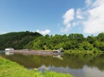 Deutschland, Rheinland-Pfalz, südlich von Serrig, auf der Saar, das Frachtschiff VENEZIA (Antwerpen, Belgien),BR-0233 0162, 136x12m.