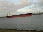 Morning  Cloud,230m lang,32m breit,13m Tiefgang,ist eimlaufend auf dem Nieuwe Waterweg zum oelhafen Rotterdam.15.11.2008.