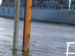 Verabschiedung des Containerriesen Cosco Germany IMO-Nummer:9305477 Flagge:Liberia Länge:333.0m Breite:42.0m am Willkommen Höft in Wedel am 23.06.09