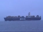 Die MSC Soraya IMO-Nummer:9372494 Flagge:Panama Länge:277.0m Breite:40.0m Baujahr:2008 Bauwerft:Samsung Shipbuilding&Heavy Industries,Seoul Südkorea aufgenommen vor der Alten Liebe Cuxhaven am 08.12.10